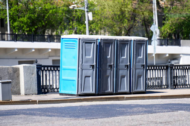 Best Luxury portable toilet rental  in Chippewa Falls, WI
